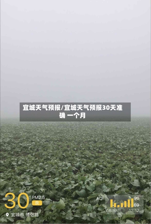 宜城天气预报/宜城天气预报30天准确 一个月-第1张图片