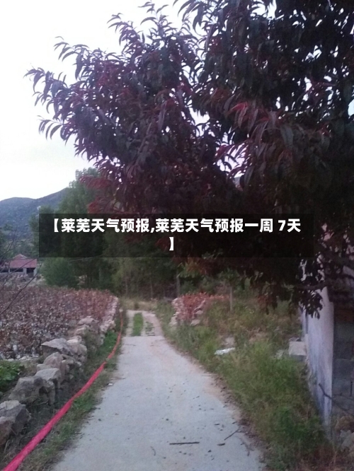 【莱芜天气预报,莱芜天气预报一周 7天】-第1张图片