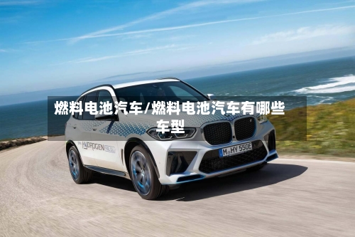 燃料电池汽车/燃料电池汽车有哪些车型-第1张图片