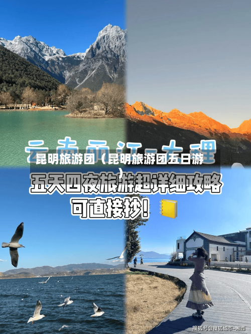 昆明旅游团(昆明旅游团五日游)-第1张图片
