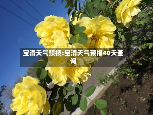 宝清天气预报:宝清天气预报40天查询-第1张图片