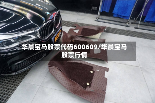 华晨宝马股票代码600609/华晨宝马股票行情-第1张图片