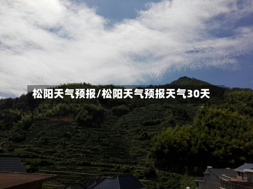 松阳天气预报/松阳天气预报天气30天-第1张图片