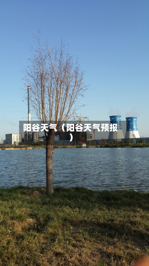 阳谷天气(阳谷天气预报)-第1张图片