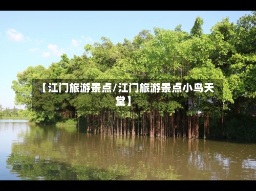 【江门旅游景点/江门旅游景点小鸟天堂】-第1张图片
