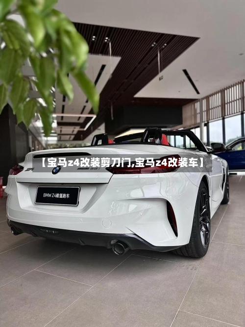 【宝马z4改装剪刀门,宝马z4改装车】-第1张图片