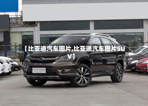 【比亚迪汽车图片,比亚迪汽车图片SUV】-第1张图片