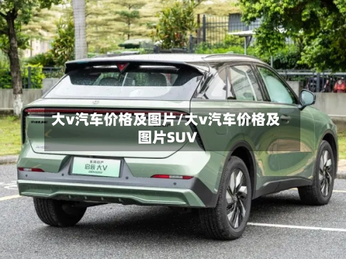 大v汽车价格及图片/大v汽车价格及图片SUV-第1张图片
