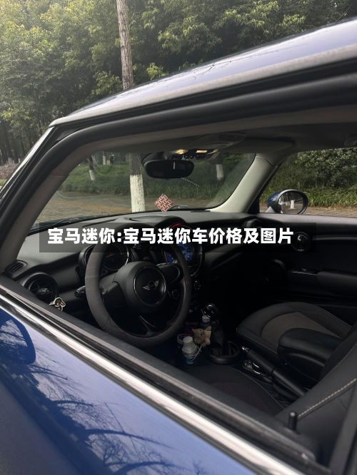 宝马迷你:宝马迷你车价格及图片-第1张图片