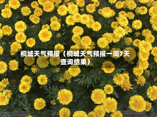 桐城天气预报(桐城天气预报一周7天查询结果)-第1张图片