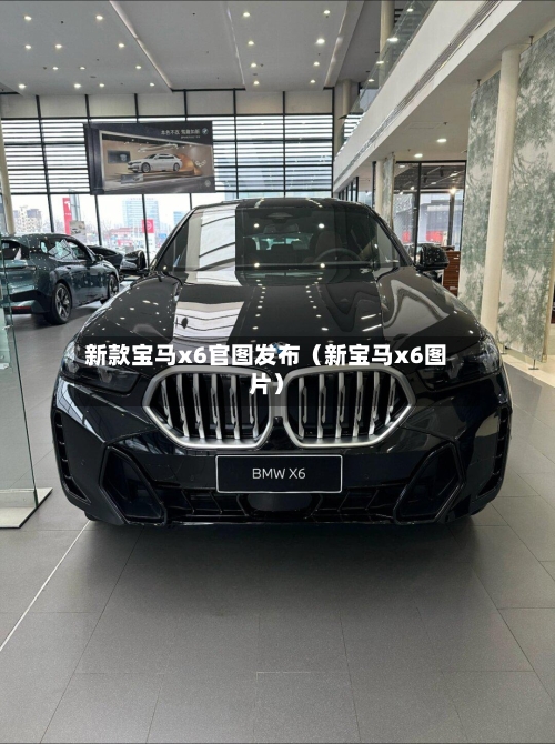 新款宝马x6官图发布(新宝马x6图片)-第1张图片