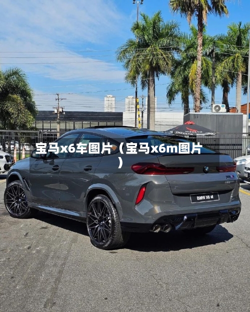宝马x6车图片(宝马x6m图片)-第1张图片