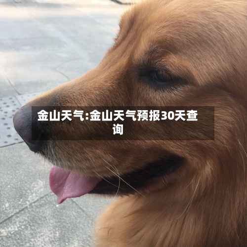 金山天气:金山天气预报30天查询-第1张图片