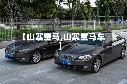 【山寨宝马,山寨宝马车】-第1张图片