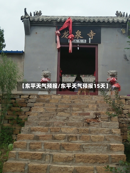 【东平天气预报/东平天气预报15天】-第1张图片
