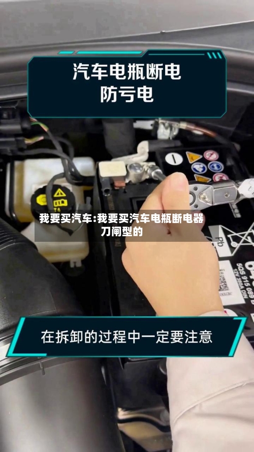 我要买汽车:我要买汽车电瓶断电器刀闸型的-第1张图片