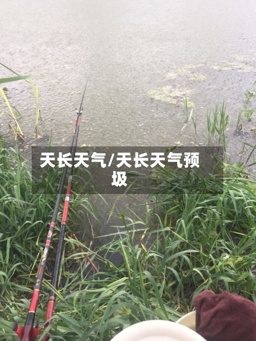 天长天气/天长天气预圾-第1张图片