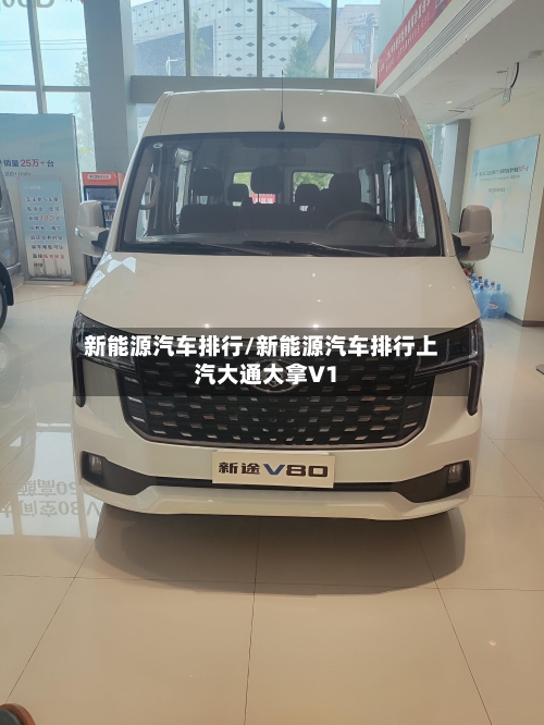 新能源汽车排行/新能源汽车排行上汽大通大拿V1-第1张图片