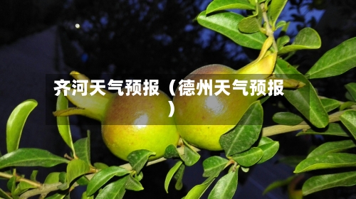 齐河天气预报(德州天气预报)-第1张图片