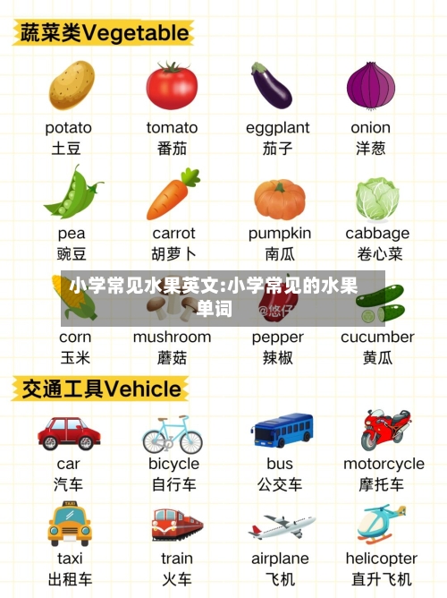 小学常见水果英文:小学常见的水果单词-第1张图片