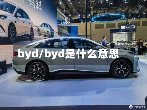 byd/byd是什么意思-第1张图片