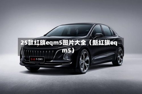 25款红旗eqm5图片大全(新红旗eqm5)-第1张图片