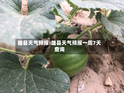 雄县天气预报:雄县天气预报一周7天查询-第1张图片