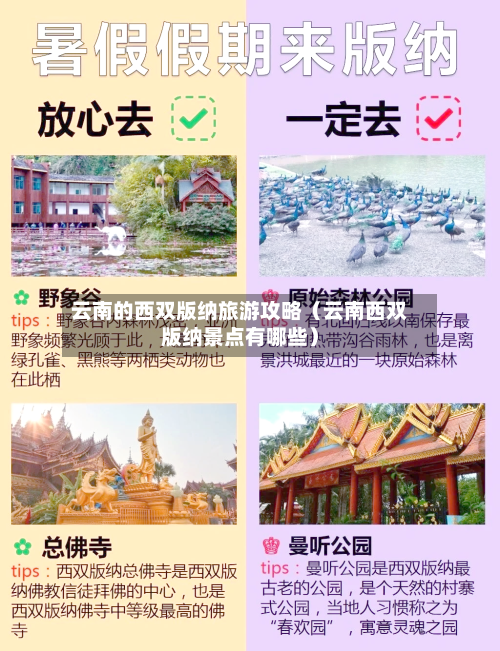 云南的西双版纳旅游攻略(云南西双版纳景点有哪些)-第1张图片