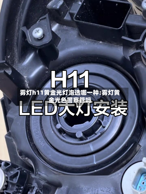 雾灯h11黄金光灯泡选哪一种:雾灯黄金光色警察管吗-第1张图片