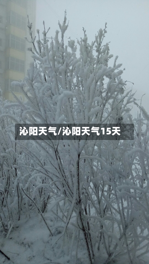 沁阳天气/沁阳天气15天-第1张图片