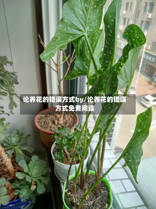 论养花的错误方式by/论养花的错误方式免费阅读-第1张图片
