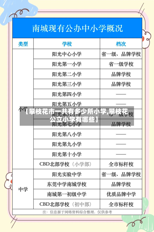 【攀枝花市一共有多少所小学,攀枝花公立小学有哪些】-第1张图片