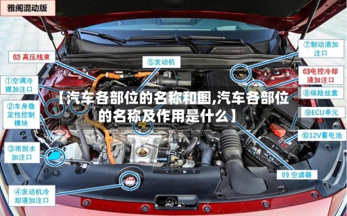 【汽车各部位的名称和图,汽车各部位的名称及作用是什么】-第1张图片