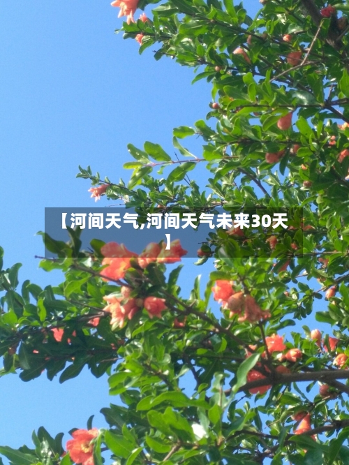 【河间天气,河间天气未来30天】-第1张图片