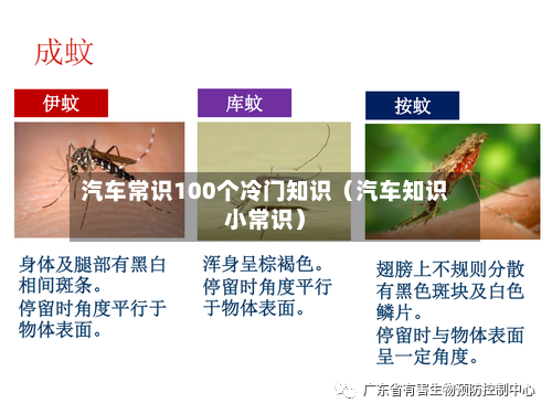 汽车常识100个冷门知识(汽车知识小常识)-第1张图片