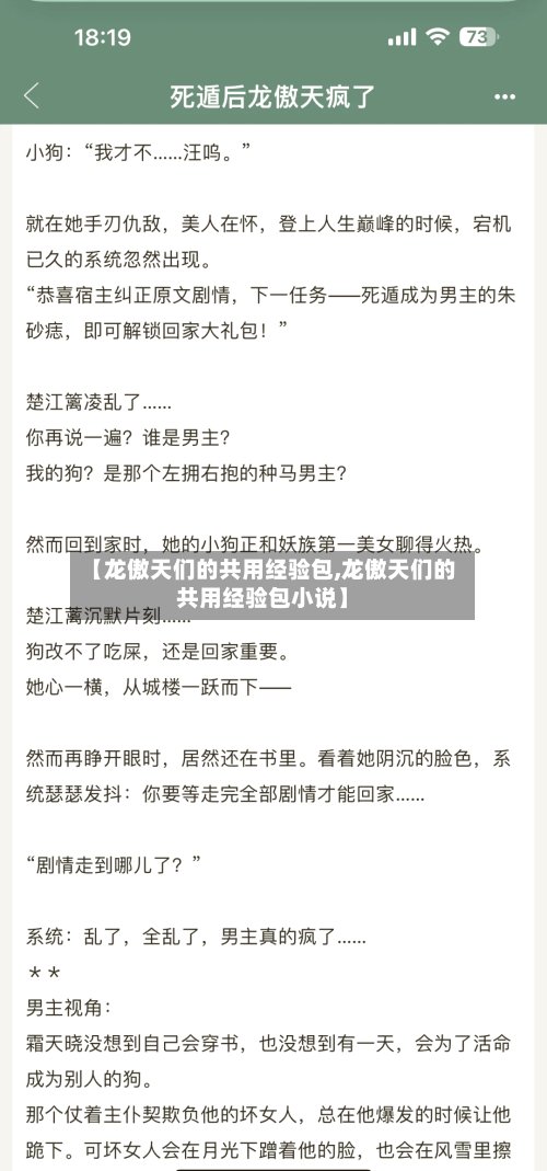 【龙傲天们的共用经验包,龙傲天们的共用经验包小说】-第1张图片