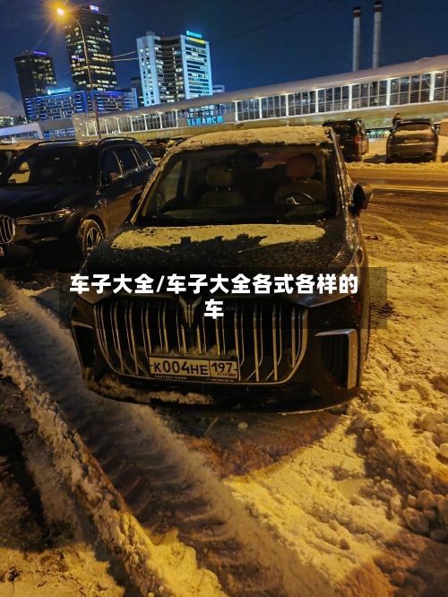 车子大全/车子大全各式各样的车-第1张图片