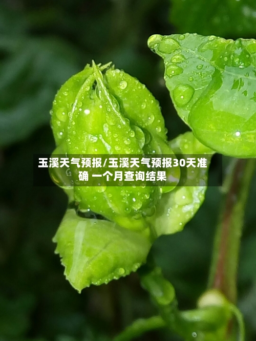 玉溪天气预报/玉溪天气预报30天准确 一个月查询结果-第1张图片