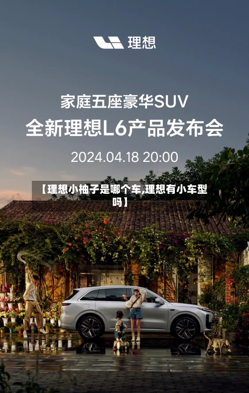 【理想小柚子是哪个车,理想有小车型吗】-第1张图片