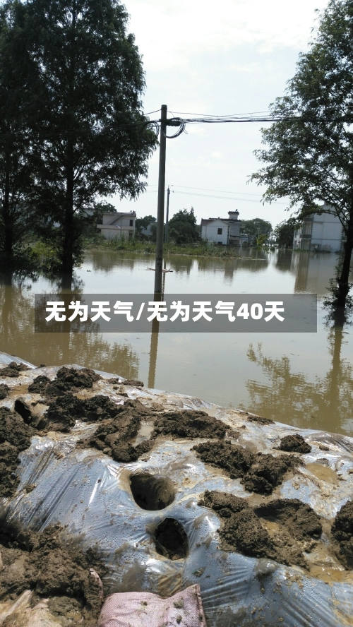 无为天气/无为天气40天-第1张图片