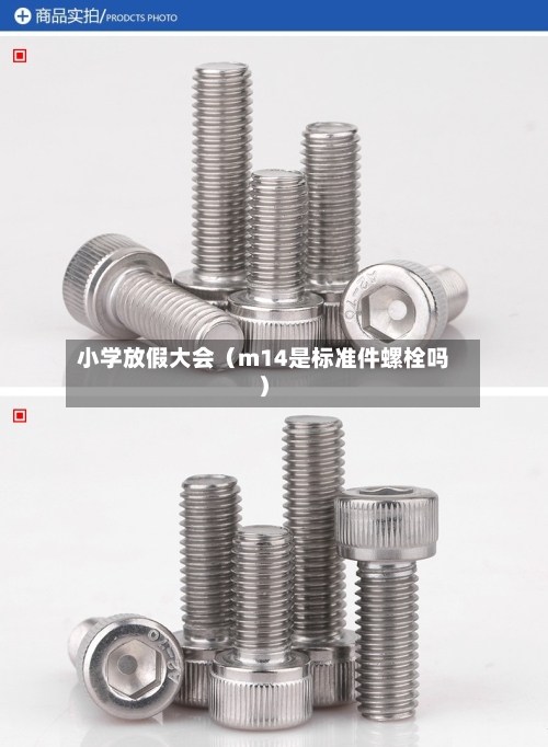 小学放假大会(m14是标准件螺栓吗)-第1张图片