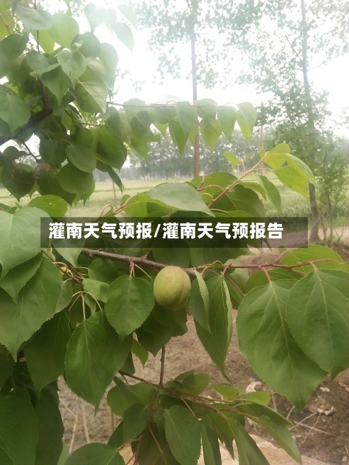 灌南天气预报/灌南天气预报告-第1张图片