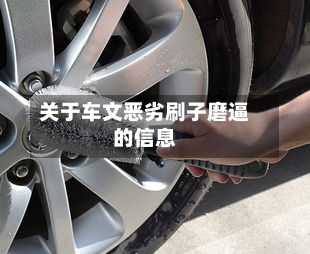 关于车文恶劣刷子磨逼的信息-第1张图片