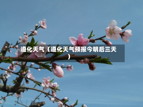 遵化天气（遵化天气预报今明后三天）-第1张图片