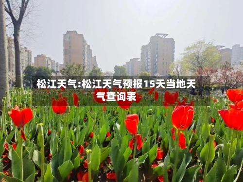 松江天气:松江天气预报15天当地天气查询表-第1张图片