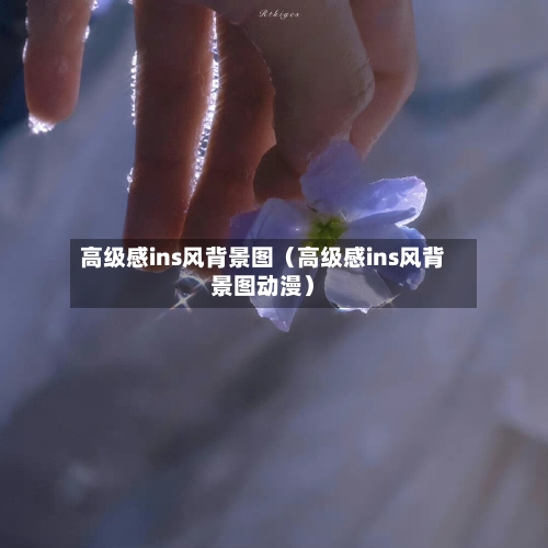 高级感ins风背景图(高级感ins风背景图动漫)-第1张图片