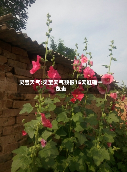 灵宝天气:灵宝天气预报15天准确一览表-第1张图片