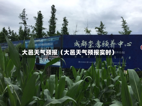 大邑天气预报(大邑天气预报实时)-第1张图片