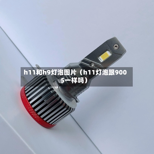 h11和h9灯泡图片(h11灯泡跟9005一样吗)-第1张图片