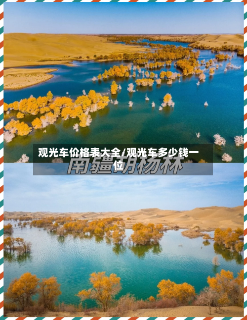 观光车价格表大全/观光车多少钱一位-第1张图片